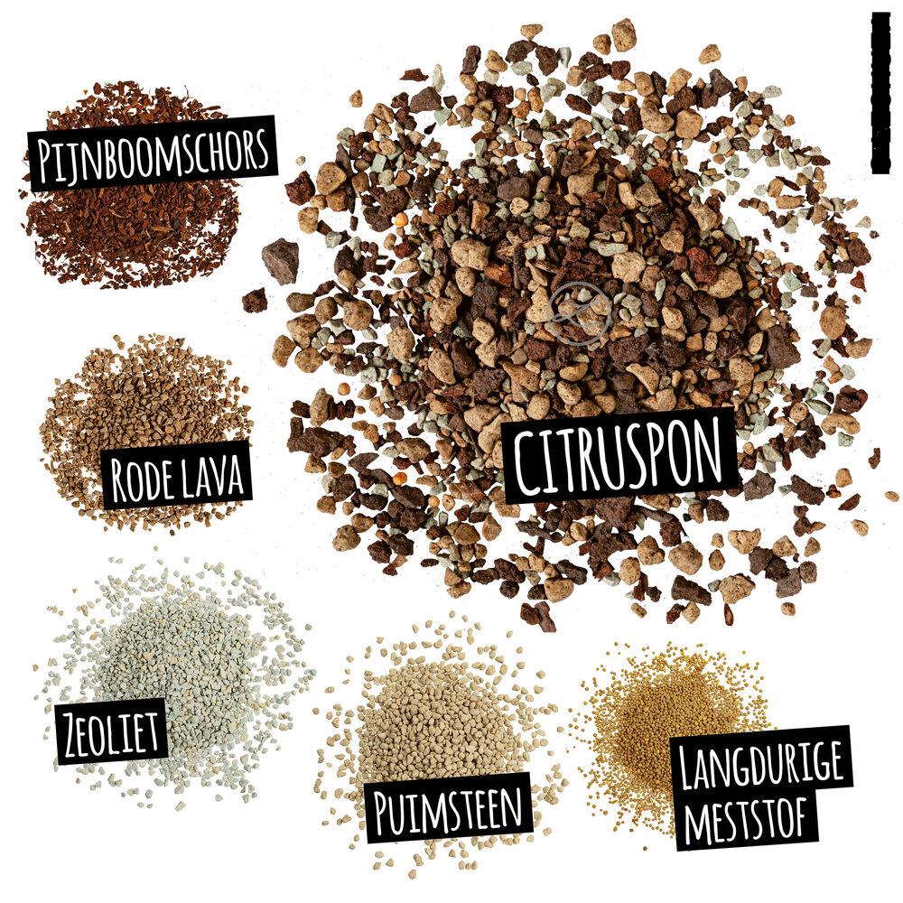 LECHUZA Plant substrate CITRUSPON