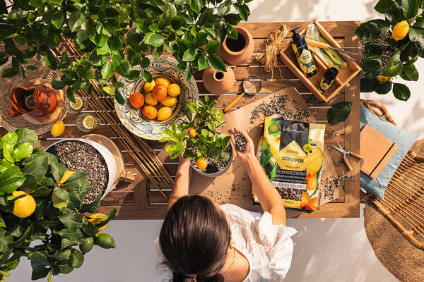 Substrat de plantation CITRUSPON