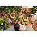 Pflanzsubstrat CITRUSPON Pflanzsubstrat CITRUSPON