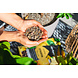 Substrat de plantation CITRUSPON Substrat de plantation CITRUSPON