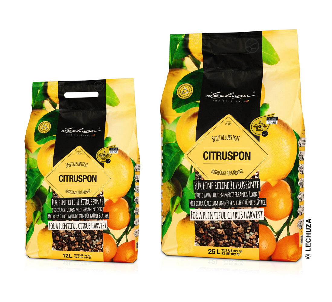 LECHUZA Plant substrate CITRUSPON