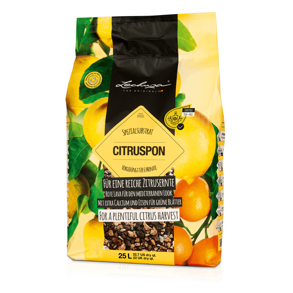 LECHUZA Plant substrate CITRUSPON