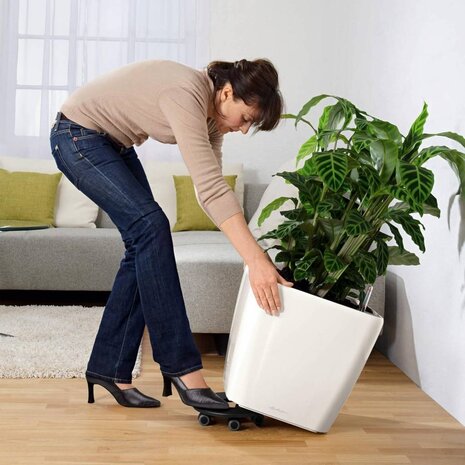 LECHUZA COASTER Rolluntersetzer LECHUZA COASTER Rolluntersetzer