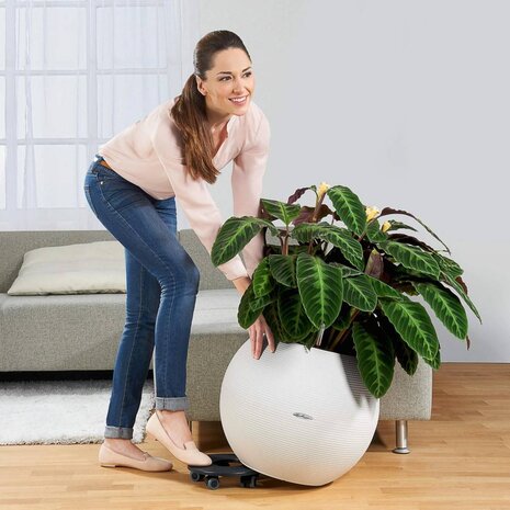 LECHUZA COASTER Rolluntersetzer LECHUZA COASTER Rolluntersetzer