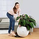 LECHUZA COASTER Plantenroller LECHUZA COASTER Plantenroller