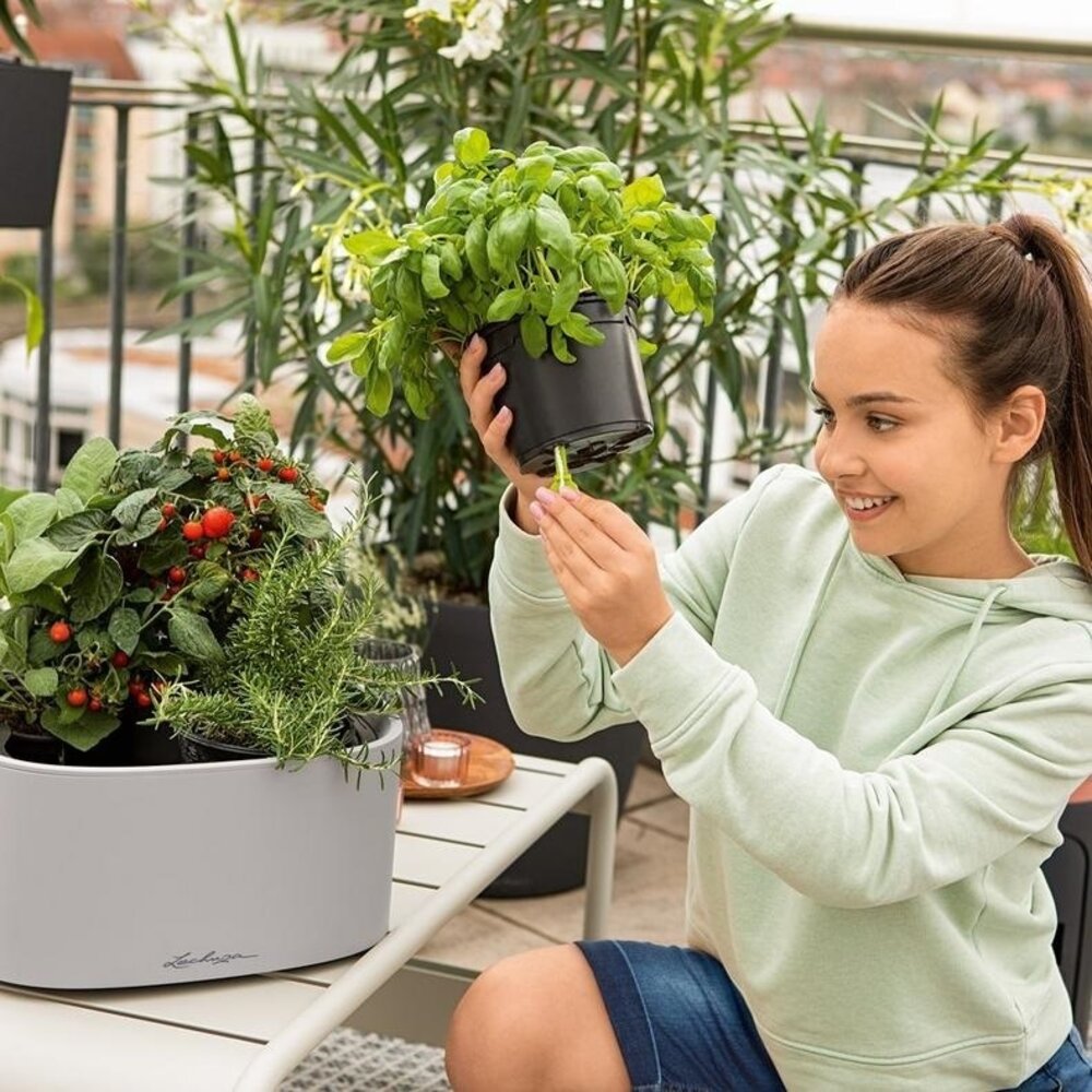 PILA Color Stick lichtgrau PILA Color Stick lichtgrau