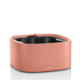 PILA Color Stick koraalrood