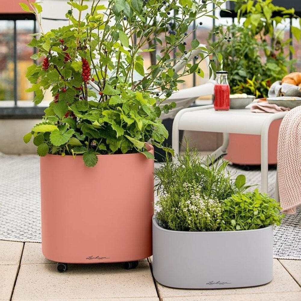 PILA Color Planter koraalrood