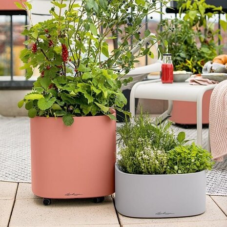 PILA Color Planter korallrot PILA Color Planter korallrot