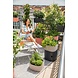 PILA Color Planter korallrot PILA Color Planter korallrot