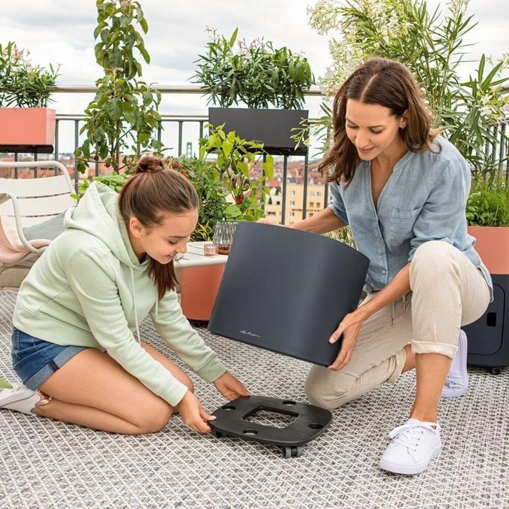 PILA Coaster Pflanzenroller PILA Coaster Pflanzenroller