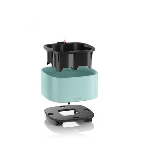 PILA Coaster Pflanzenroller PILA Coaster Pflanzenroller