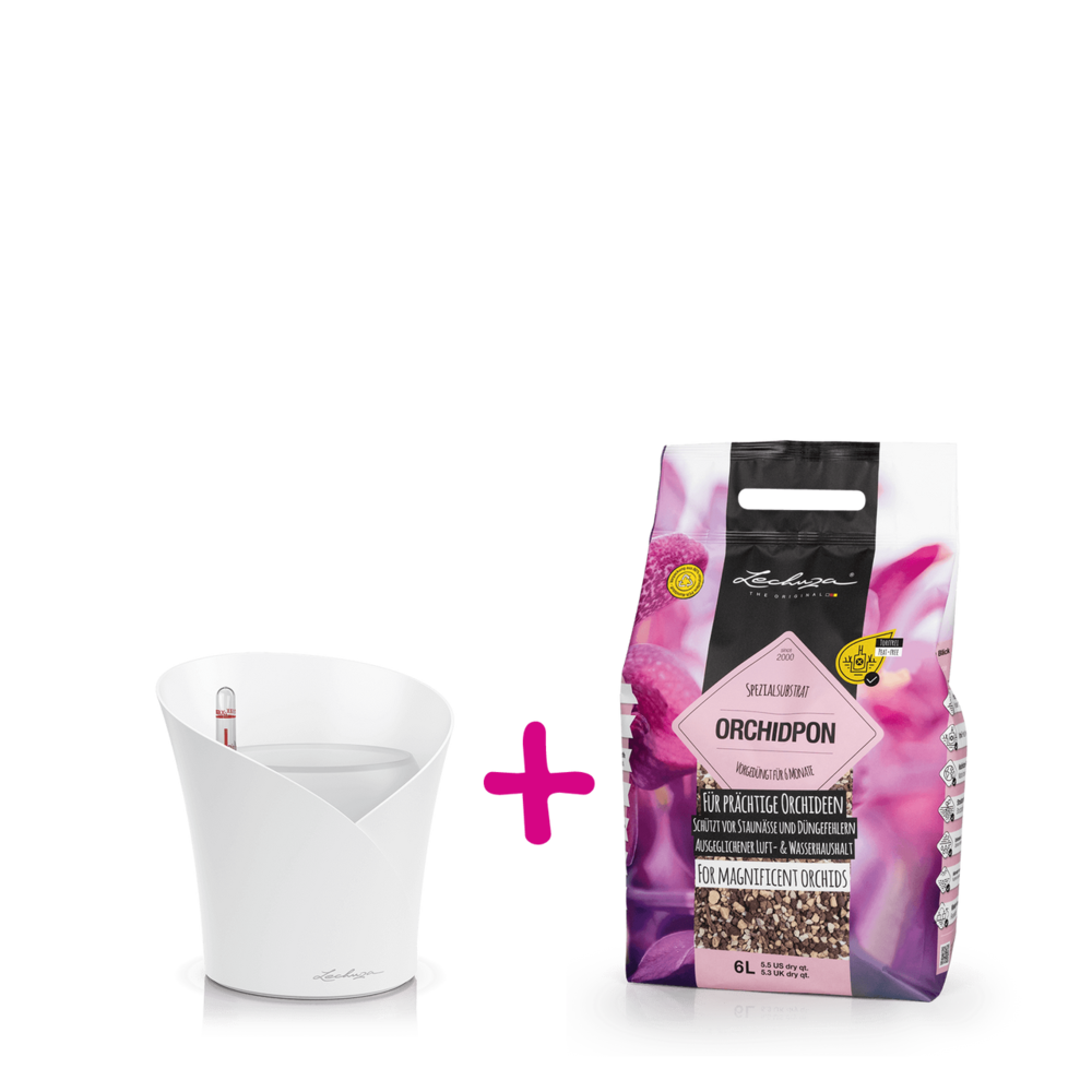 ORCHIDEA blanc mat + ORCHIDPON 6 litre