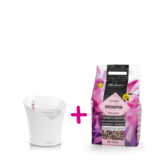 ORCHIDEA blanc mat + ORCHIDPON 6 litre