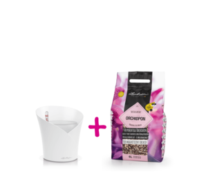 ORCHIDEA white matt + ORCHIDPON 6 liters
