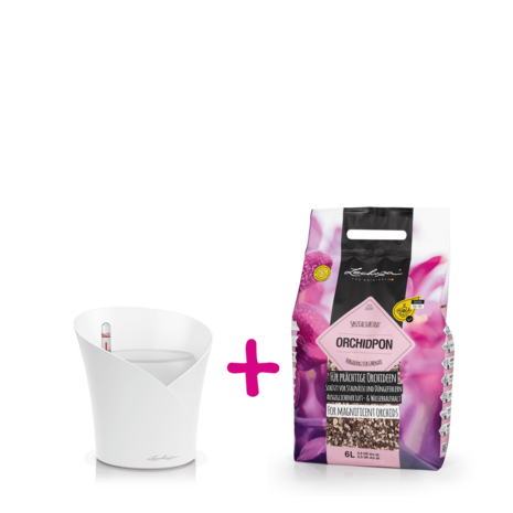 ORCHIDEA blanc mat + ORCHIDPON 6 litre