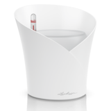 ORCHIDEA white matt ORCHIDEA white matt