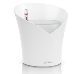 ORCHIDEA weiß matt ORCHIDEA weiß matt