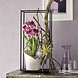 ORCHIDEA weiß matt ORCHIDEA weiß matt