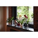 ORCHIDEA blanc mat ORCHIDEA blanc mat