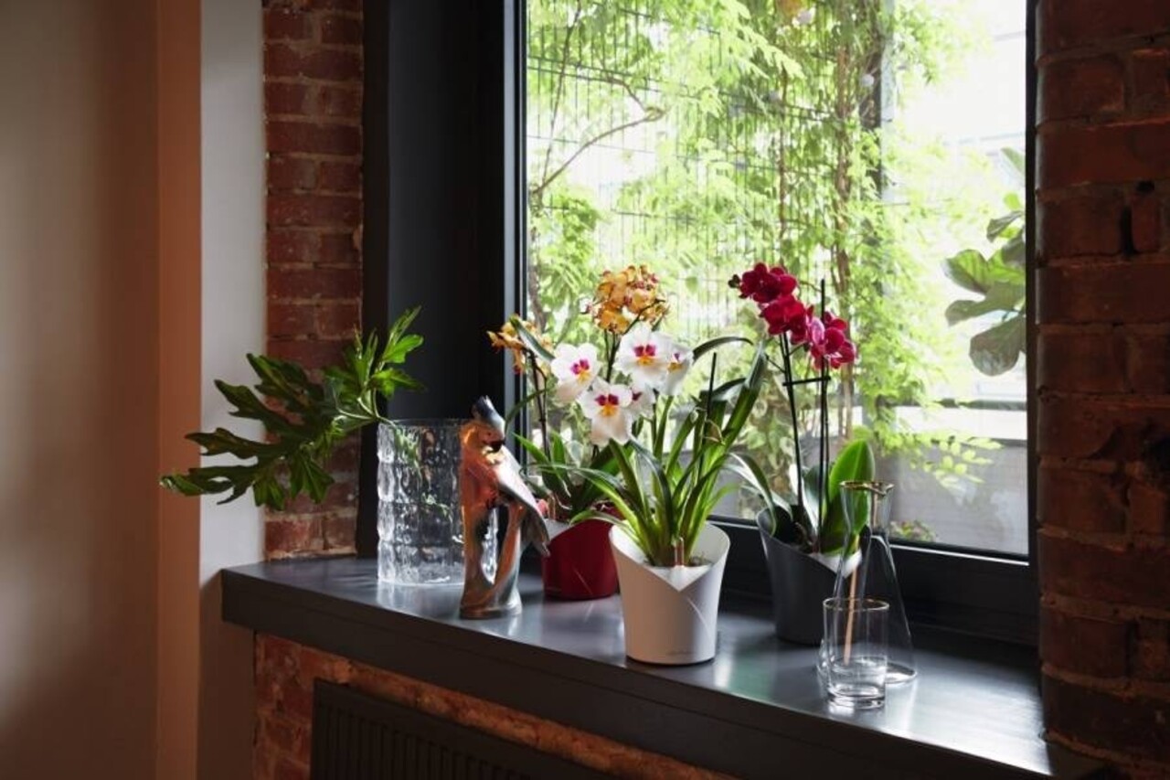 ORCHIDEA slate matt ORCHIDEA slate matt