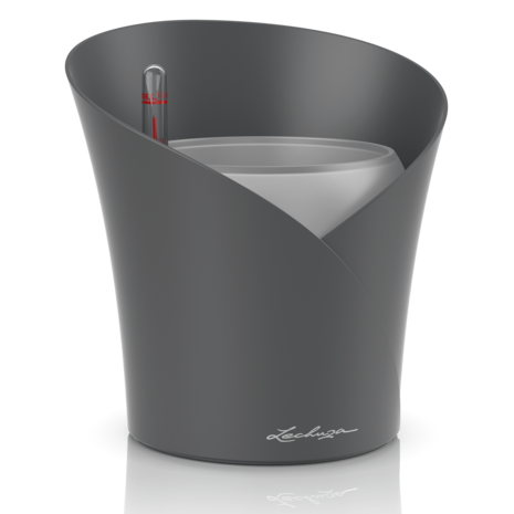 ORCHIDEA slate matt ORCHIDEA slate matt