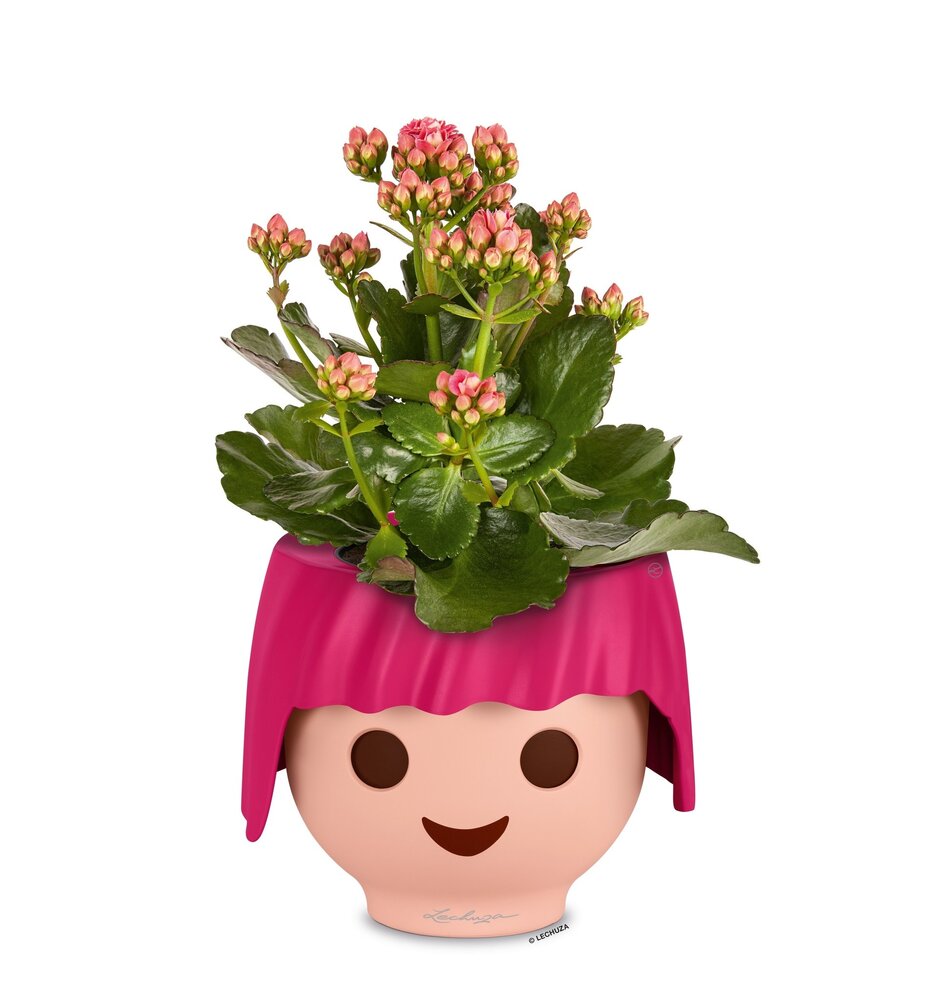 OJO ruby pink OJO ruby pink