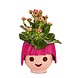 OJO ruby pink OJO ruby pink