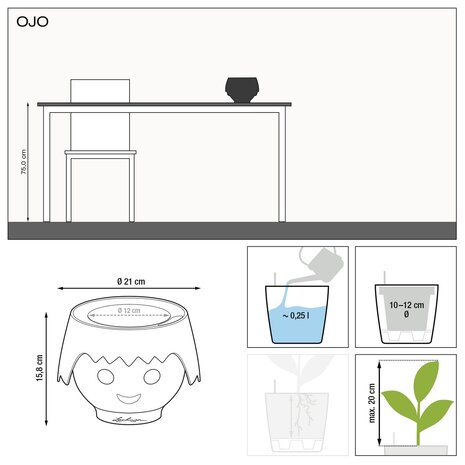 OJO ruby pink OJO ruby pink