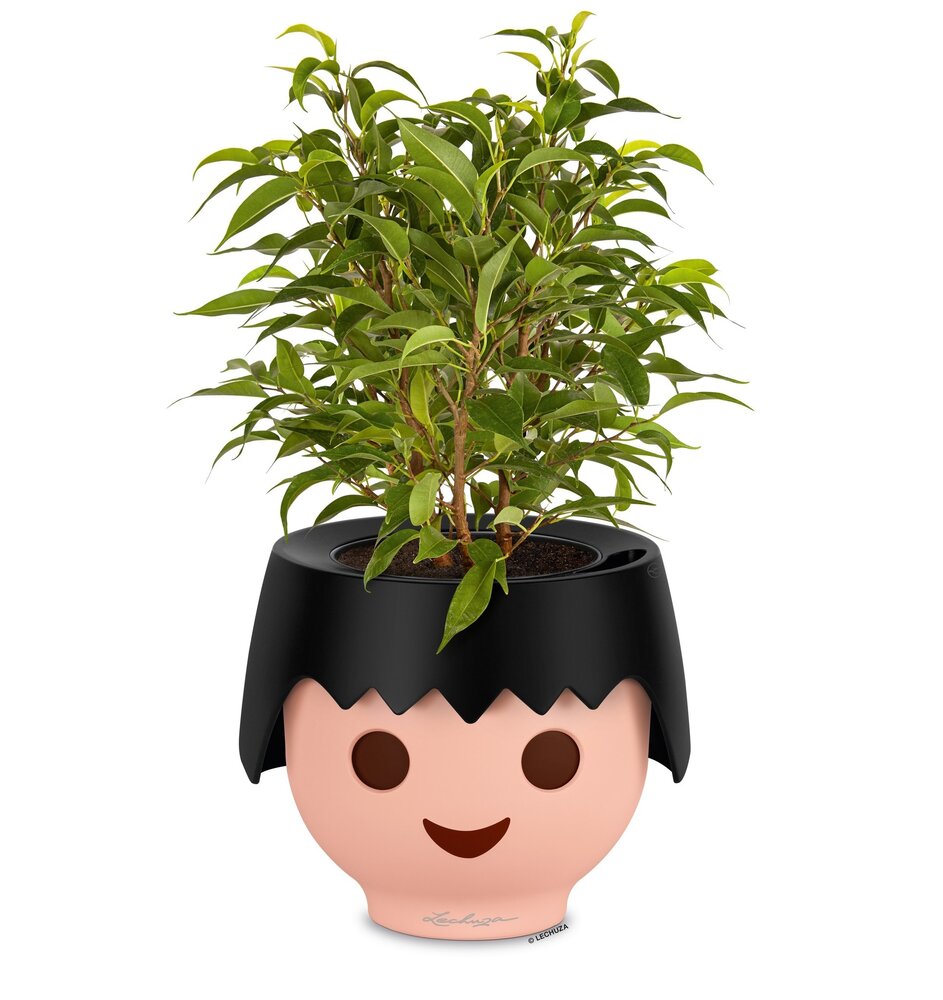 OJO raven black OJO raven black