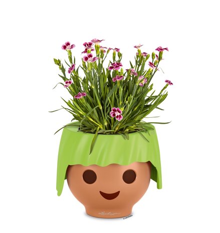 OJO apple green OJO apple green