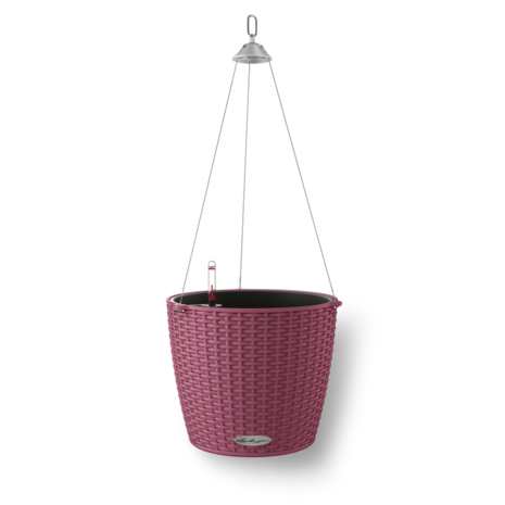 LECHUZA NIDO Cottage lila