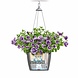 LECHUZA NIDO Cottage graphite black LECHUZA NIDO Cottage graphite black
