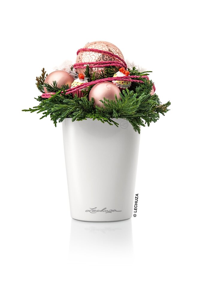 MINI-DELTINI blanc brillant MINI-DELTINI blanc brillant