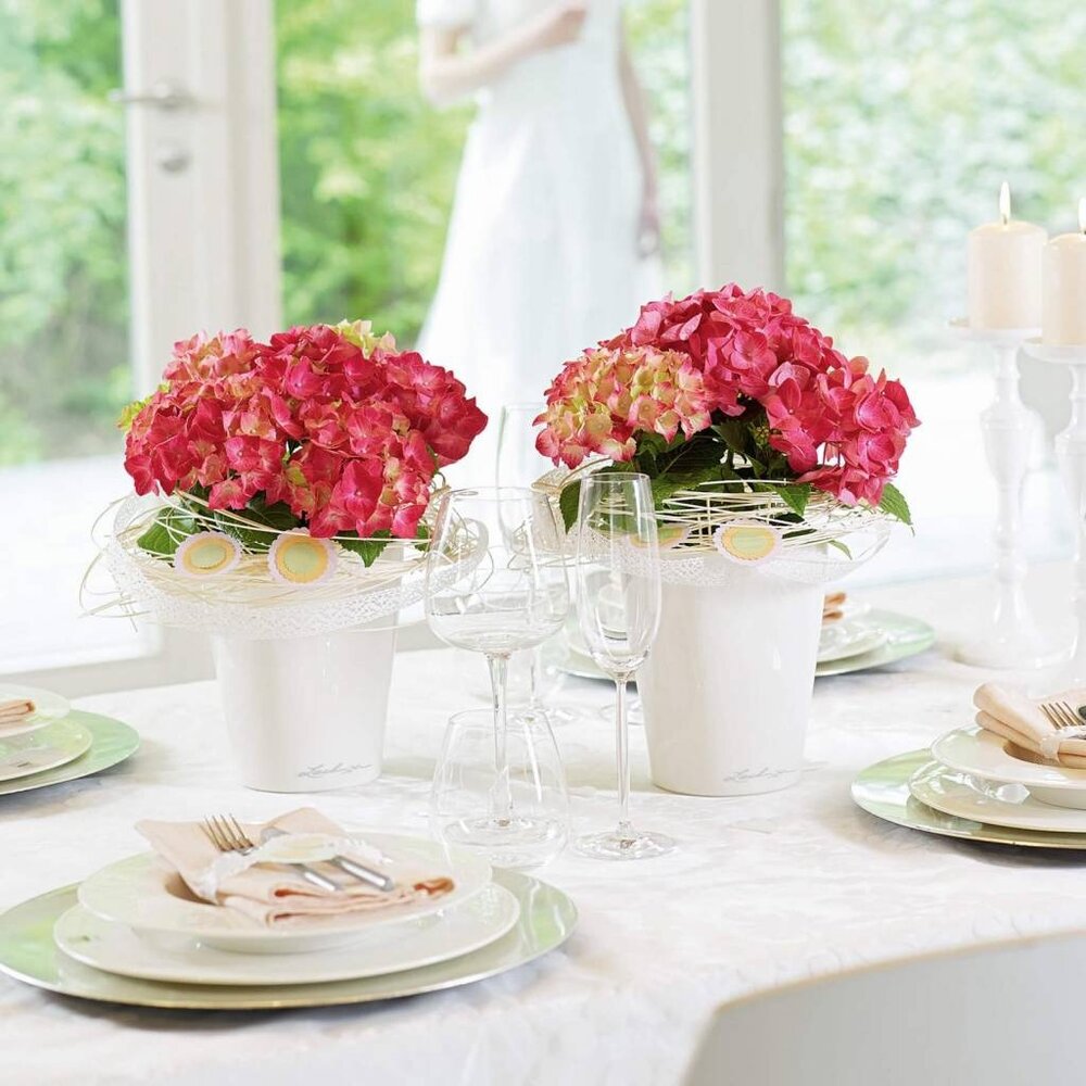 MINI-DELTINI weiß hochglanz MINI-DELTINI weiß hochglanz