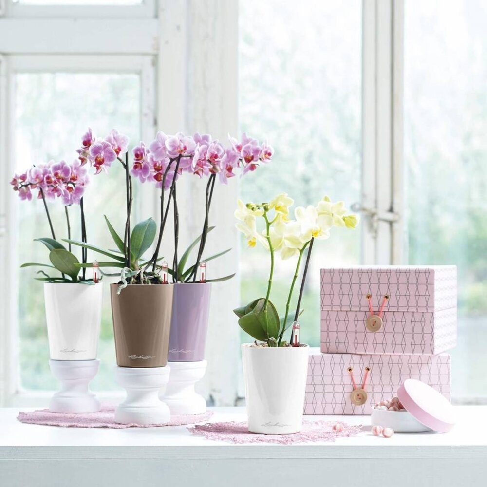 MINI-DELTINI white high-gloss MINI-DELTINI white high-gloss