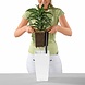 MAXI-CUBI blanc brillant MAXI-CUBI blanc brillant