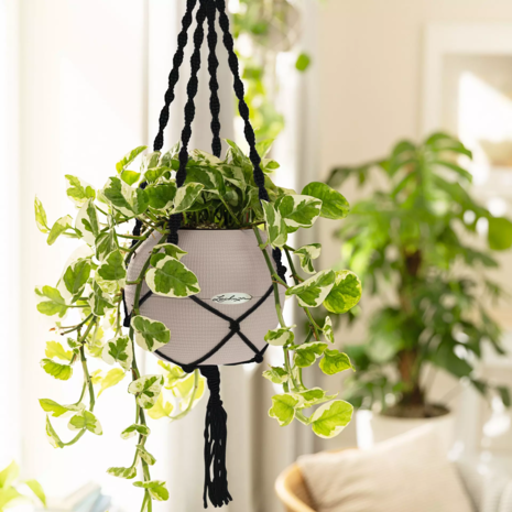 LECHUZA Macramé Cotton BOHO black