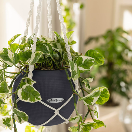 LECHUZA Macramé Cotton BOHO grijs LECHUZA Macramé Cotton BOHO grijs