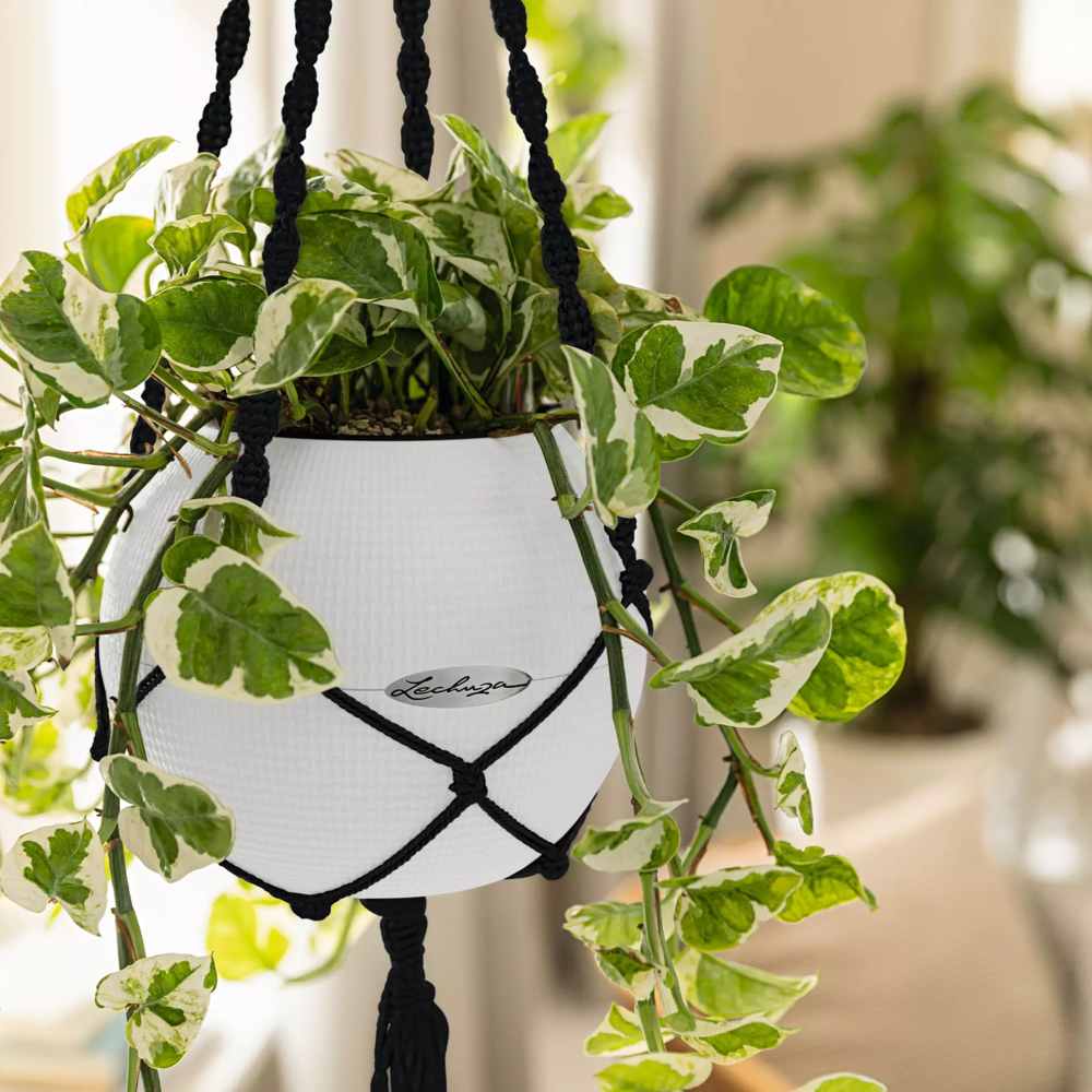 LECHUZA Macramé BOHO zwart LECHUZA Macramé BOHO zwart
