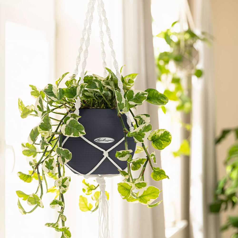 LECHUZA Macramé BOHO wit LECHUZA Macramé BOHO wit