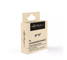 Lens head screw galvanized Lens head screw galvanized