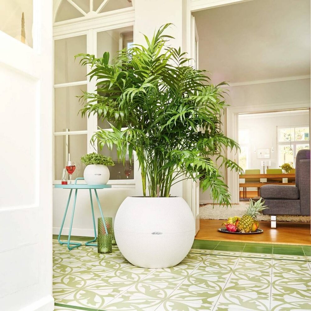 LECHUZA LECHUZA-PURO Color white LECHUZA LECHUZA-PURO Color white