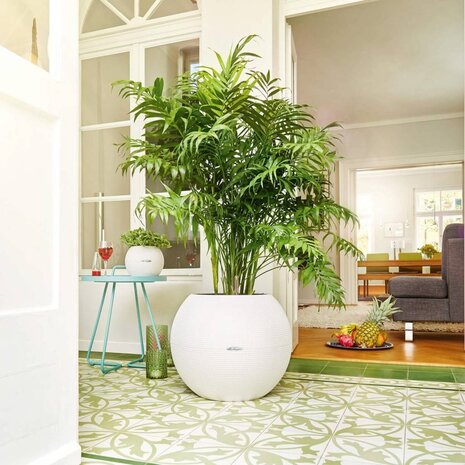 LECHUZA LECHUZA-PURO Color weiß