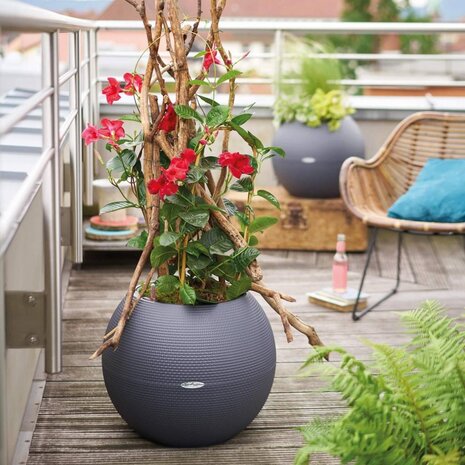 LECHUZA LECHUZA-PURO Color leisteengrijs