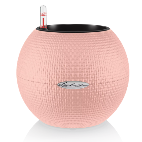 LECHUZA LECHUZA-PURO Color raspberry