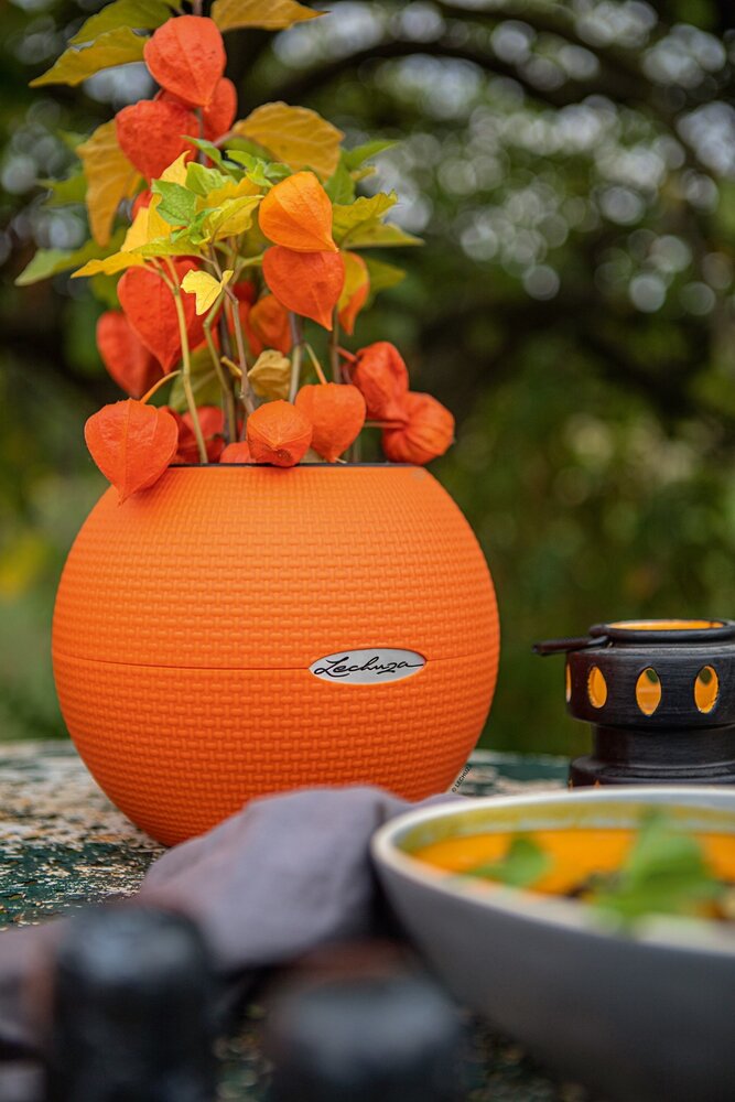 LECHUZA LECHUZA-PURO Color himbeere LECHUZA LECHUZA-PURO Color himbeere