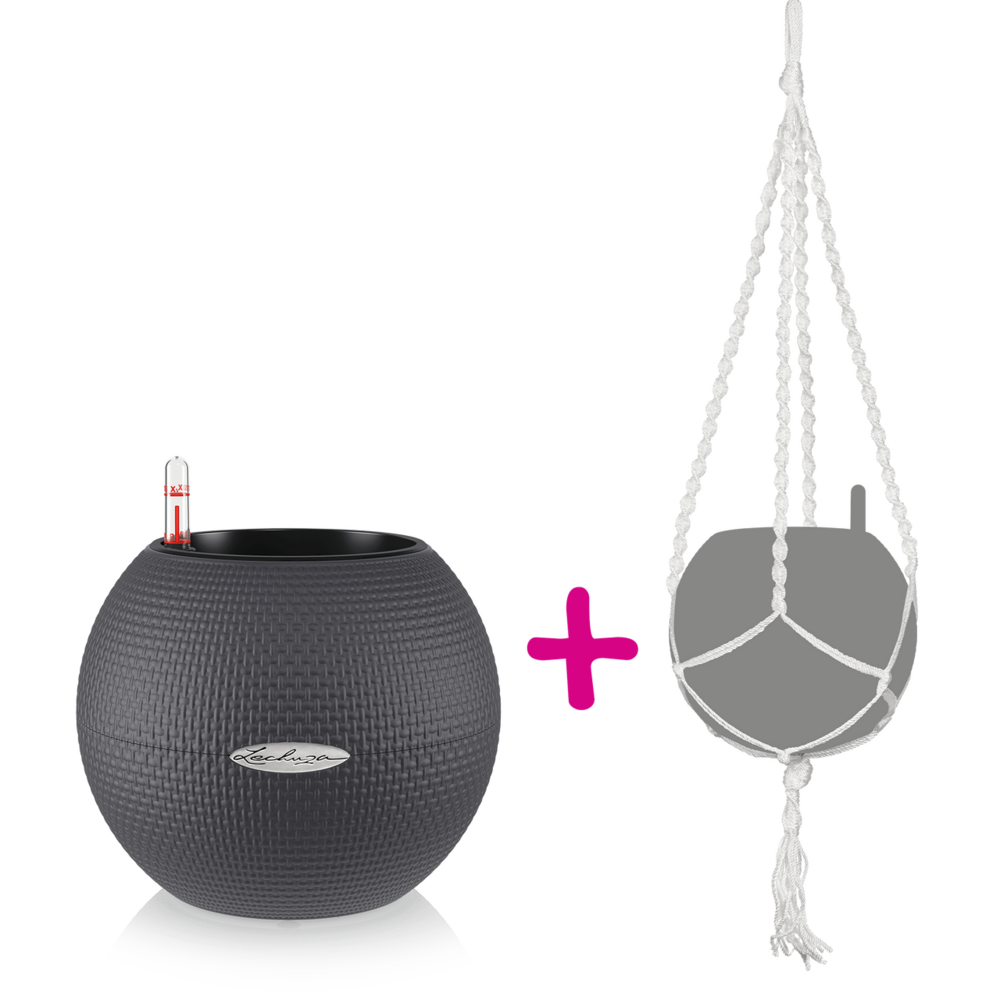 LECHUZA LECHUZA-PURO Color 20 graphite black + macramé LECHUZA LECHUZA-PURO Color 20 graphite black + macramé