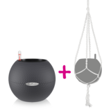 LECHUZA-PURO Color 20 noir graphite + macramé LECHUZA-PURO Color 20 noir graphite + macramé