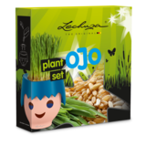 LECHUZA Set de plantes LECHUZA Set de plantes
